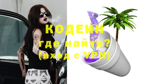 прущие грибы Аркадак