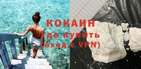 прущие грибы Аркадак