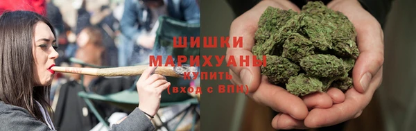 прущие грибы Аркадак