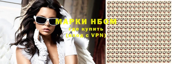 прущие грибы Аркадак