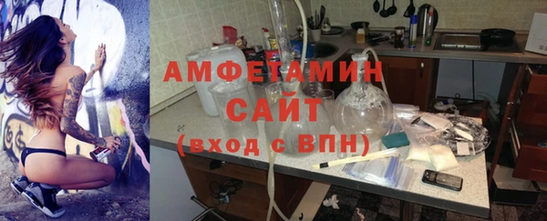 прущие грибы Аркадак